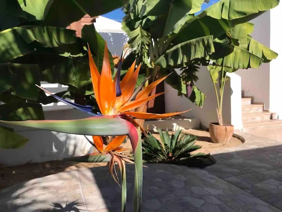 Gezellige Villa Met Prachtig Zicht En Zwembad Arona  Arona (Tenerife)